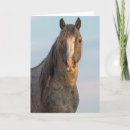 Recherche de étalon sauvage vœux cartes Animal