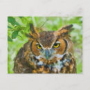 Suche nach hornhaut poster Vögel