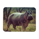 Suche nach hippo magnete Modern