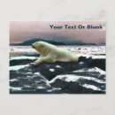 Recherche de ours arctique cartes postales Faune