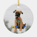 Recherche de bouche ornements Chien