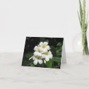 Suche nach plumeria karten Anmerkung