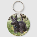 Recherche de scotty porteclés Dog