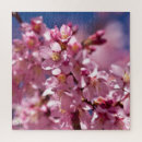 Recherche de cerisier japonais puzzles Fleurs de cerisiers japonais