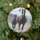 Suche nach wildpferd ornamente Pferdeliebhaber