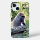 Suche nach silverbacks Ape