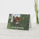 Suche nach jäger geburtstag karten Hund
