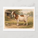 Suche nach vintage zeichnungen postkarten Tier