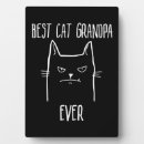 Suche nach katzen fotoplatten Niedliche katze