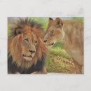 Suche nach recht postkarten Lustig