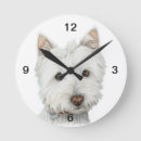 Recherche de westies horloges Chien