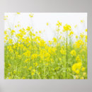 Recherche de moutarde posters Vert
