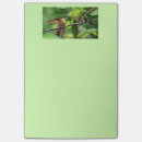 Suche nach kolibri post it Niedlich