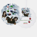 Suche nach bernese mountain dog karten Haustiere