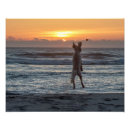 Suche nach hunde fotografie poster Sonnenuntergang