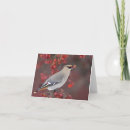 Recherche de birding vœux cartes Animal