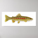 Suche nach trout poster Thom