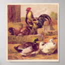 Suche nach geflügel poster Vintag