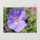 Suche nach bumble bee poster Blume