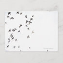 Recherche de volée cartes postales Nature