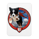 Recherche de superbe magnets Chiot