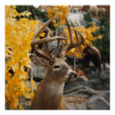 Recherche de deer posters Faune