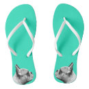 Recherche de bulldog chaussures Frenchie