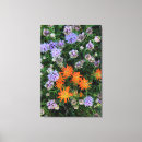 Suche nach alpine leinwandbilder Blume