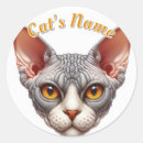 Suche nach kappe aufkleber Kätzchen