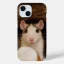 Suche nach ratte iphone hüllen Nagetier