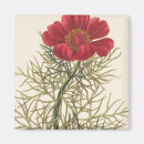 Suche nach margaret magnete Botanische illustration