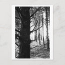 Suche nach rettet die bäume poster Wald