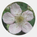 Recherche de macro autocollants Fleurs