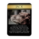 Suche nach zum gedenken an hund Für haustiere