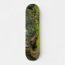 Recherche de imaginaire skateboards Dragon