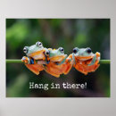 Suche nach hang in there poster Natur