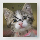 Recherche de yeux horloges Chaton mignon