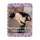 Recherche de funny cat magnete Pour elle