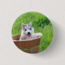 Recherche de marionnettes badges Chien