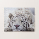 Suche nach weiße tiger puzzle Rätsel