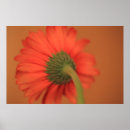 Recherche de gerber art Floral