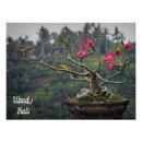 Suche nach ubud poster Fotografie