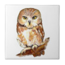 Suche nach niedliche eule fliesen Vogel