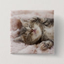 Recherche de somnolent badges Chat