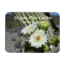 Recherche de cactus magnets Arizona
