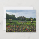 Suche nach rot gelbe blume postkarten Natur
