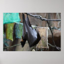 Recherche de batte photographie Nature