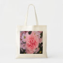 Recherche de oeillet sacs Carnation