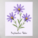 Recherche de asters posters Fleurs