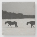 Suche nach schwarzes pferd untersetzer Schnee